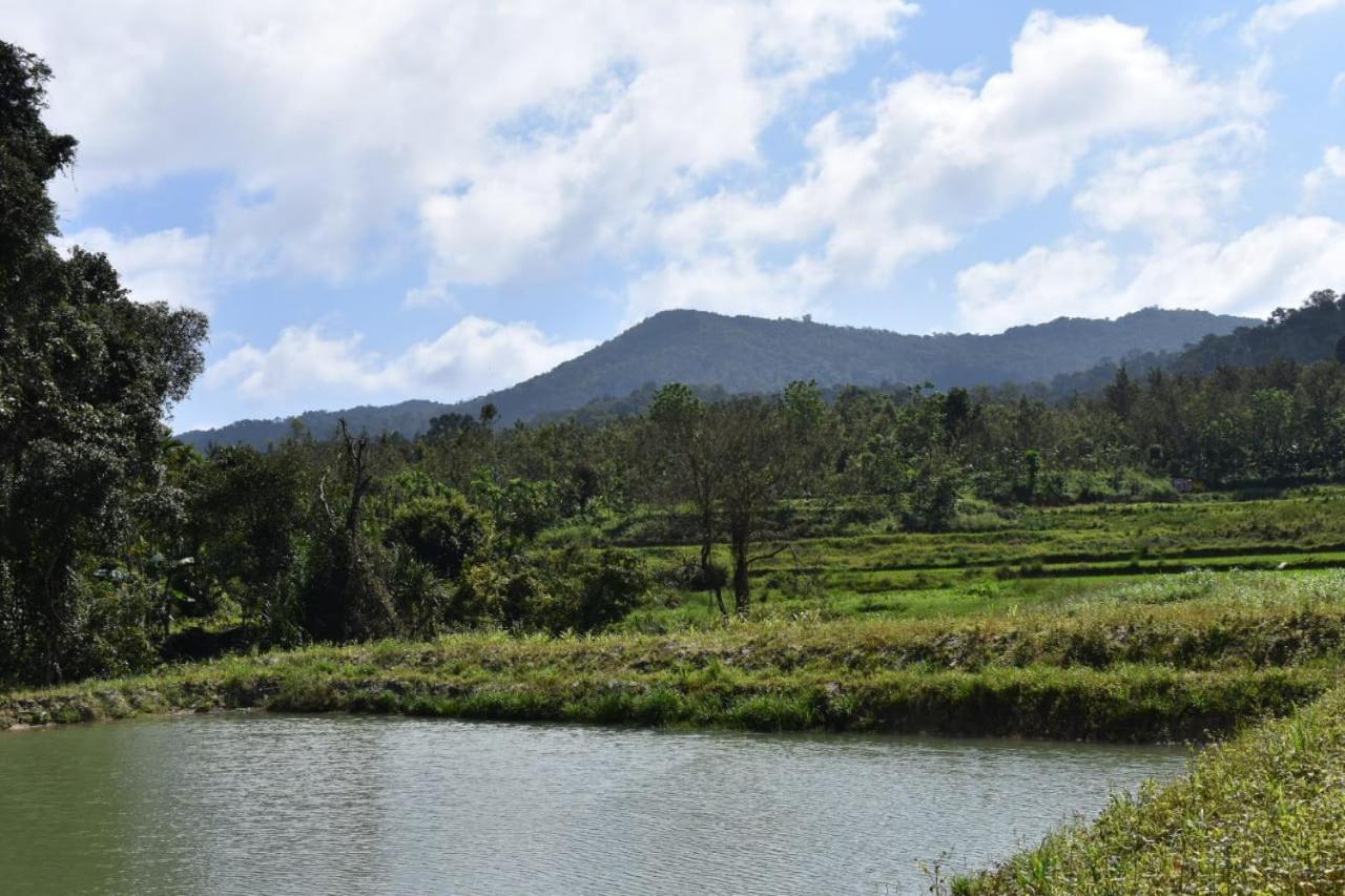 Camp coorg Madikeri Exterior foto